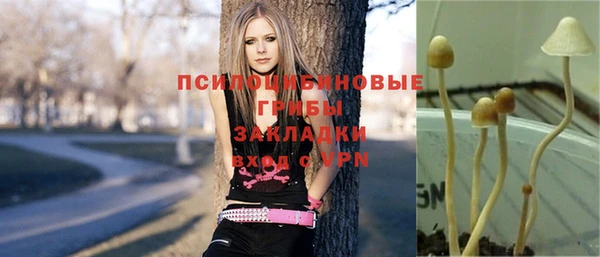 дурь Арсеньев