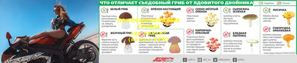 дурь Арсеньев