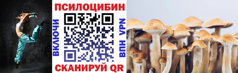 закладка  Светлоград  Псилоцибиновые грибы Psilocybine cubensis 